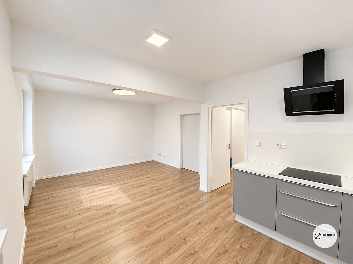 Pronájem bytu 2+kk 55 m² – fotografie 4