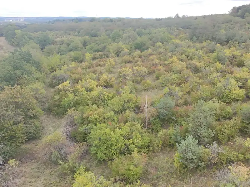 Prodej sadu, vinice 42877 m², Dobříň – náhled fotky 1