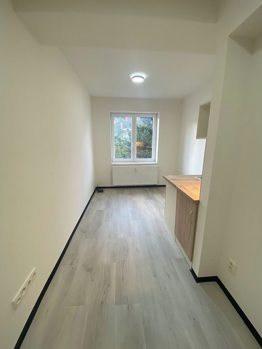 Pronájem bytu 1+kk 17 m²