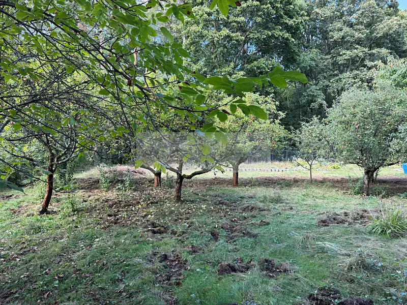 Prodej chaty 63 m², pozemek 1595 m², Hrobčice – náhled fotky 2