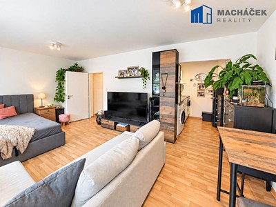 Prodej bytu 1+kk, 35 m² (3 z 15)