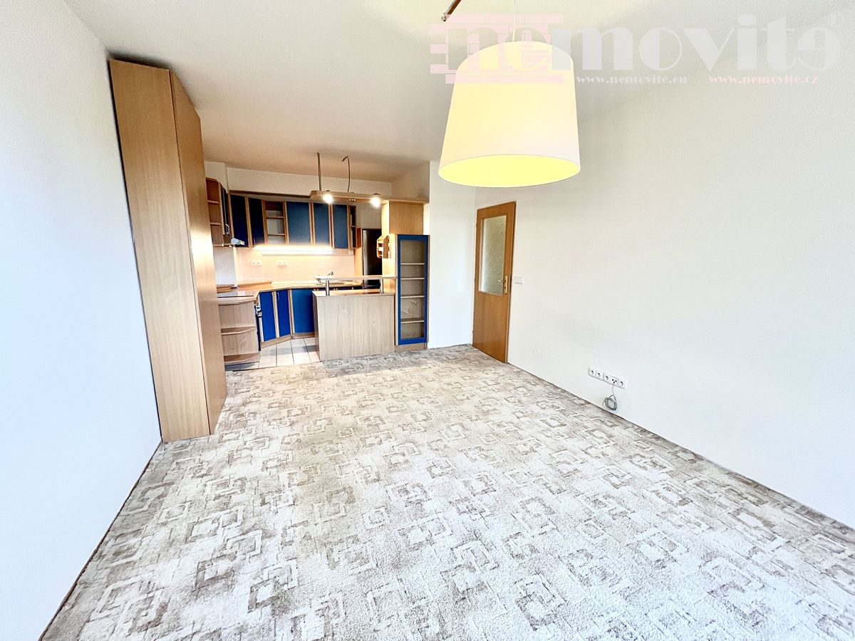 Pronájem bytu 2+kk 48 m²