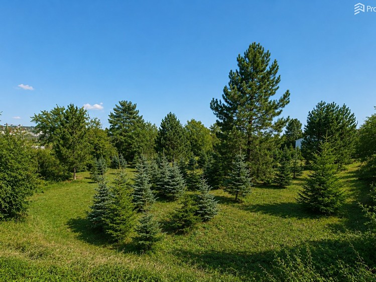 Grundstück zum Kauf, 971 m² (7 von 19)