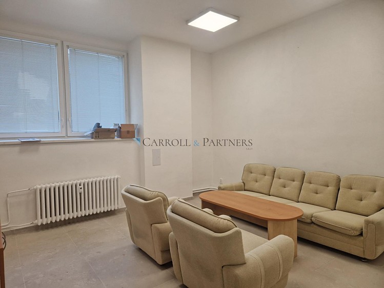 Pronájem komerčního prostoru, 75 m² (7 z 18)