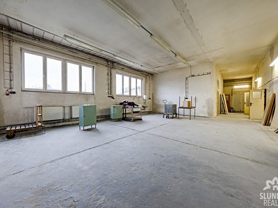 Pronájem komerčního prostoru, 209 m² (2 z 12)