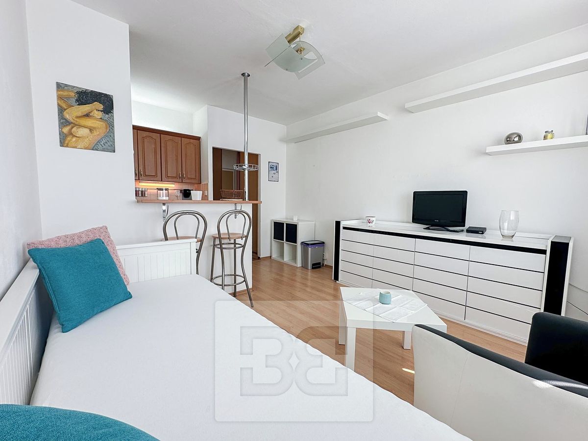 Pronájem bytu 1+kk 24 m² – fotografie 5