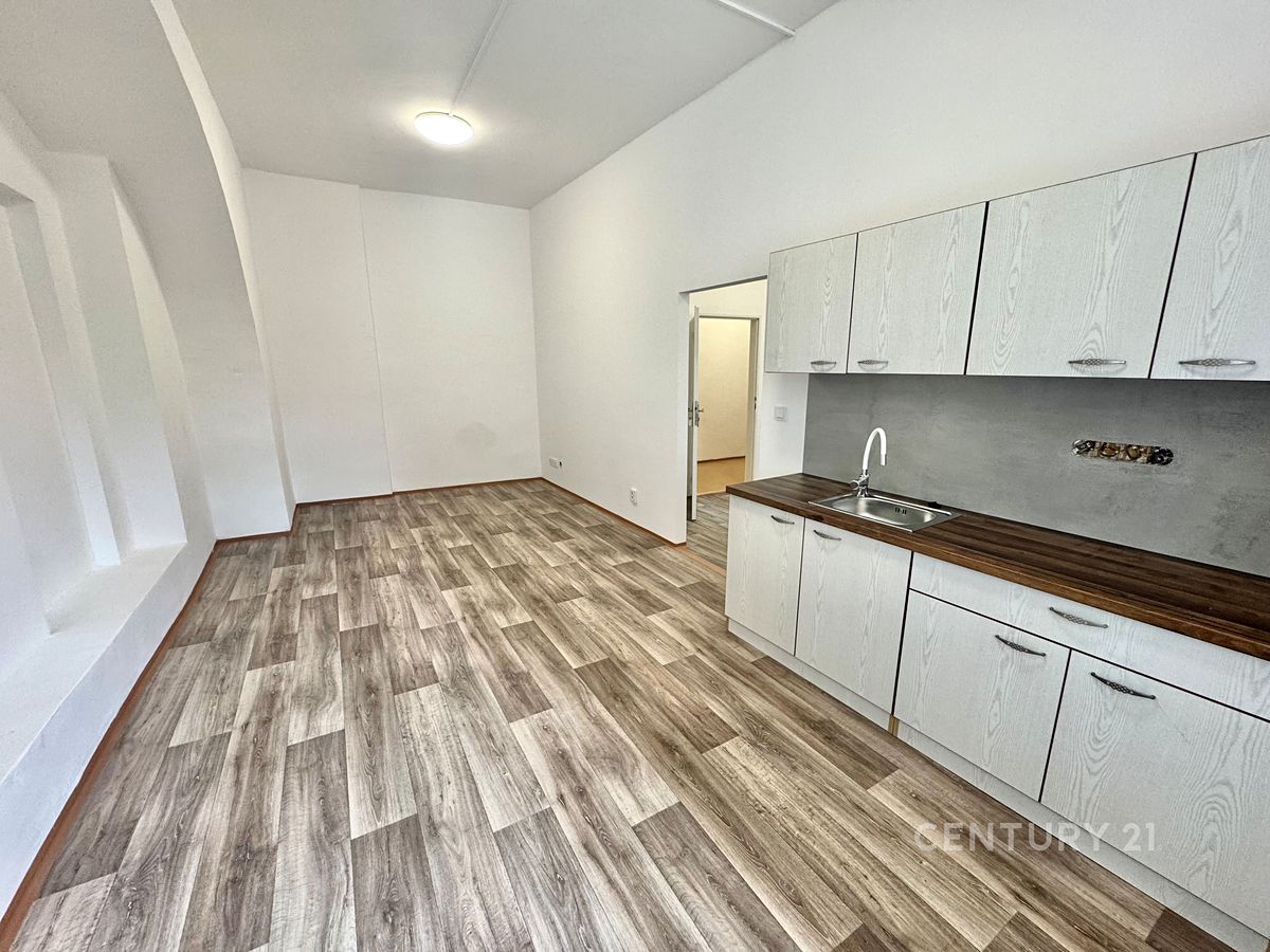 Pronájem bytu 2+kk 53 m²