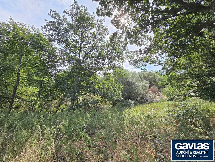 Prodej komerčního prostoru, 570 m² (70 z 74)