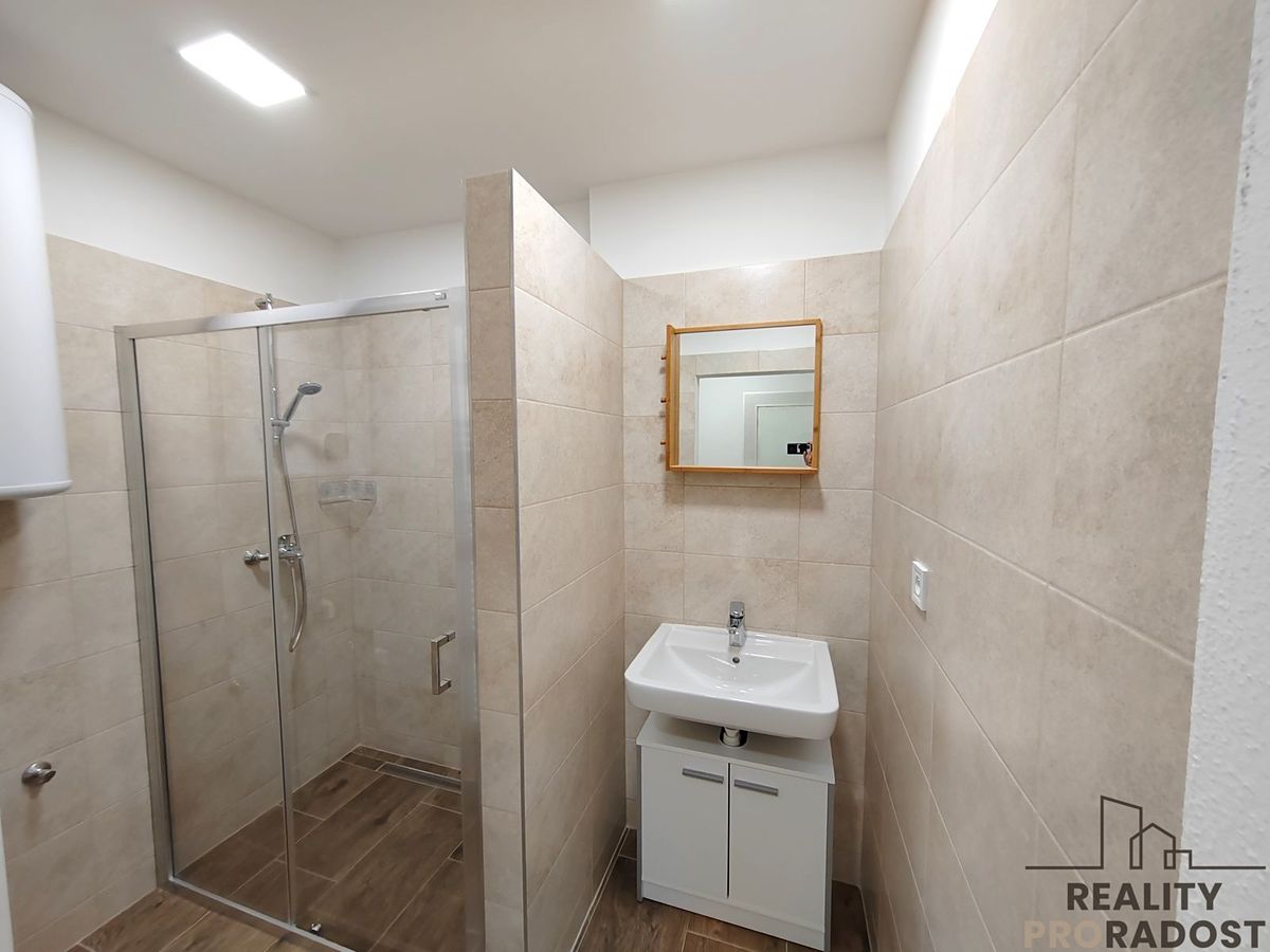 Pronájem bytu 1+1 48 m² – fotografie 3