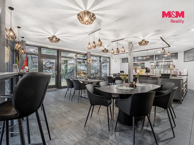 Prodej komerčního prostoru, 300 m² (4 z 30)