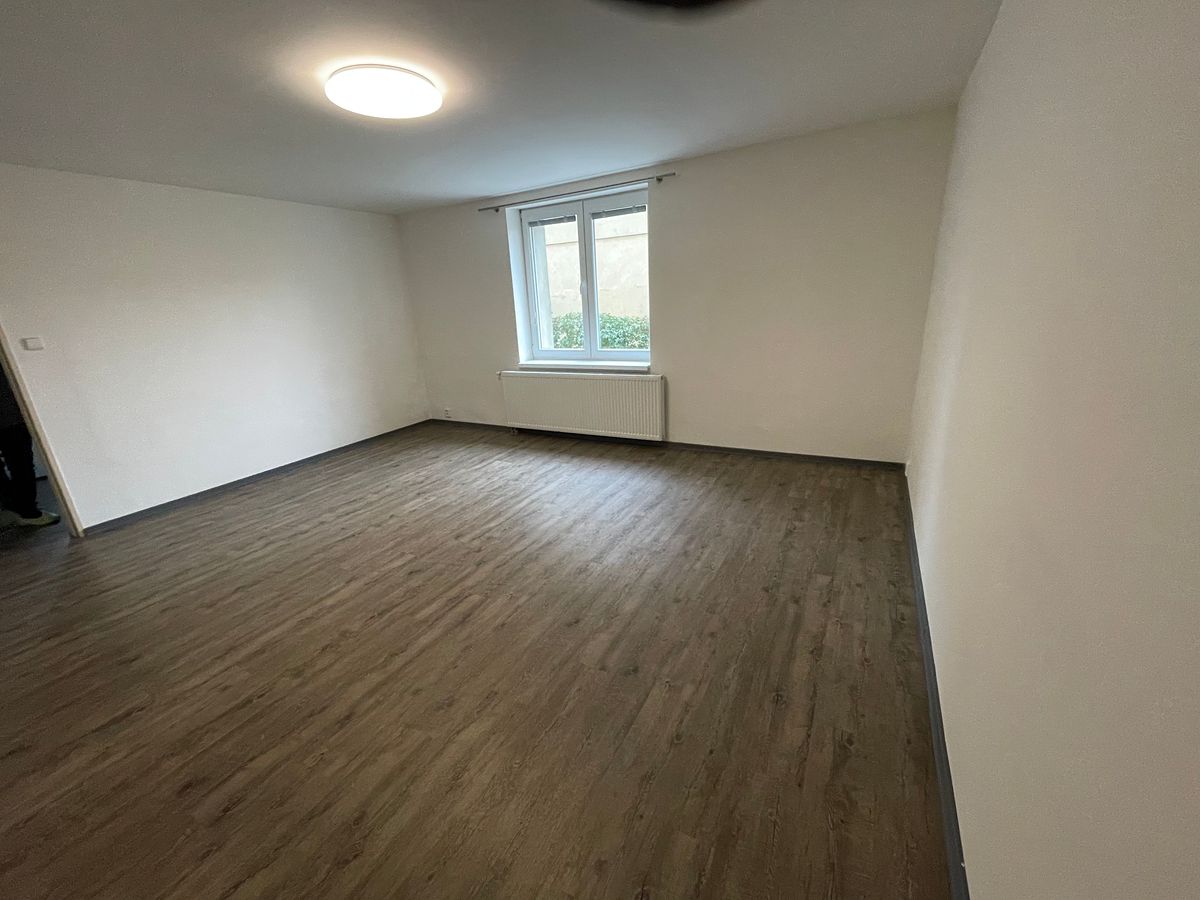 Pronájem bytu 1+1 40 m²