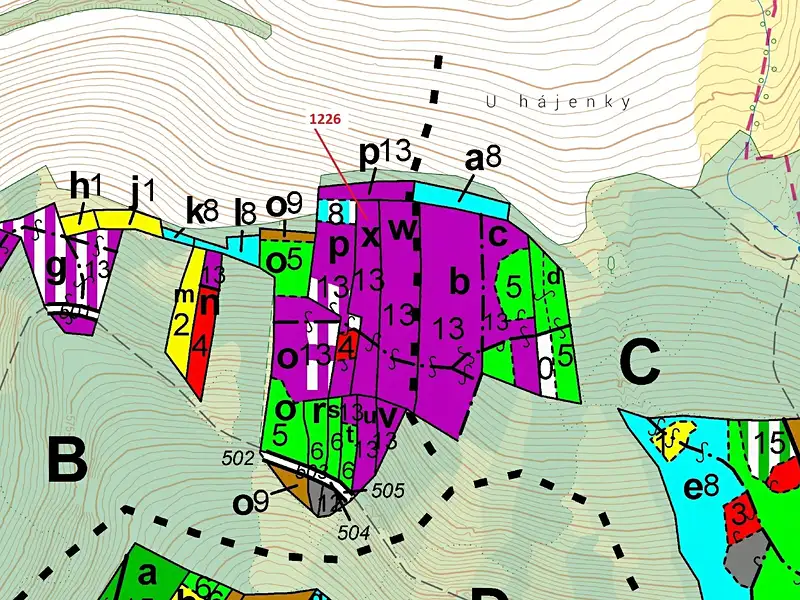 Dražba lesa 3593 m², Vilice – náhled fotky 3
