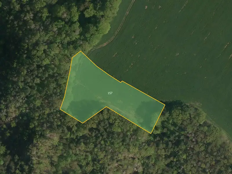 Prodej pole 20905 m², Třemošnice – náhled fotky 2