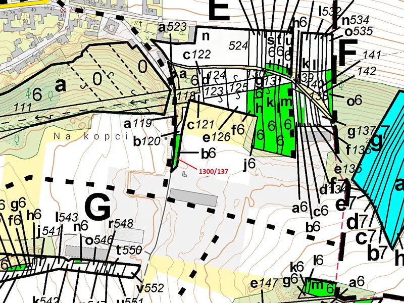 Dražba lesa 676 m², Morašice – náhled fotky 3