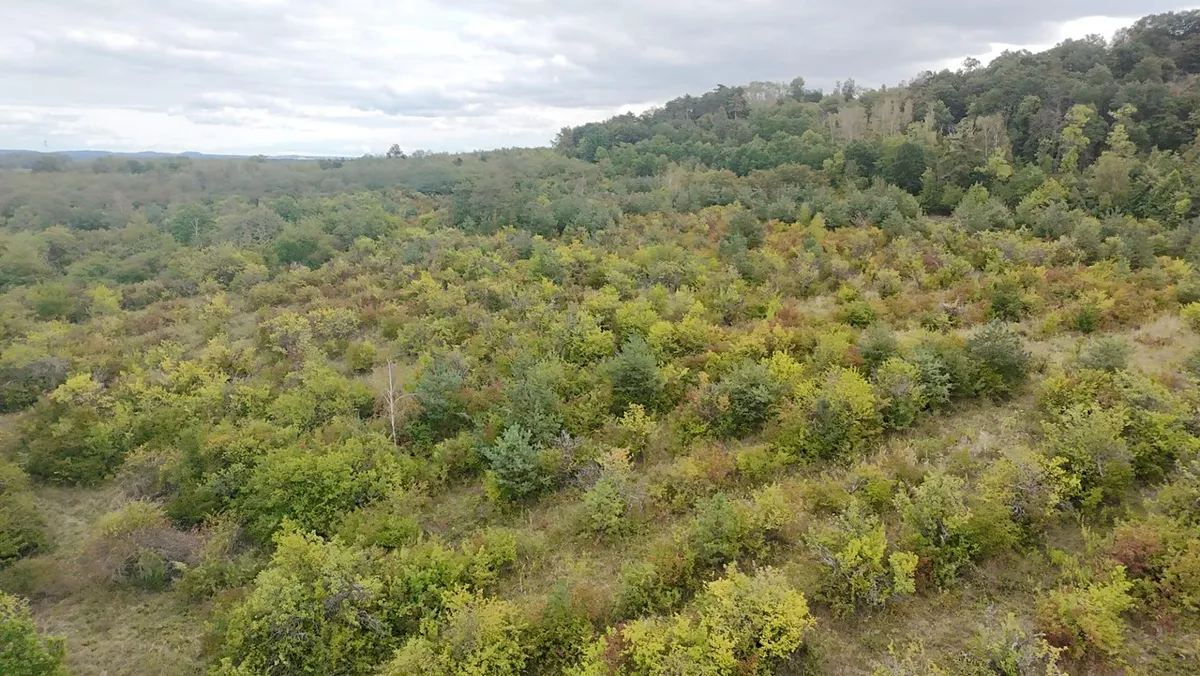 Fotka 10 z 24