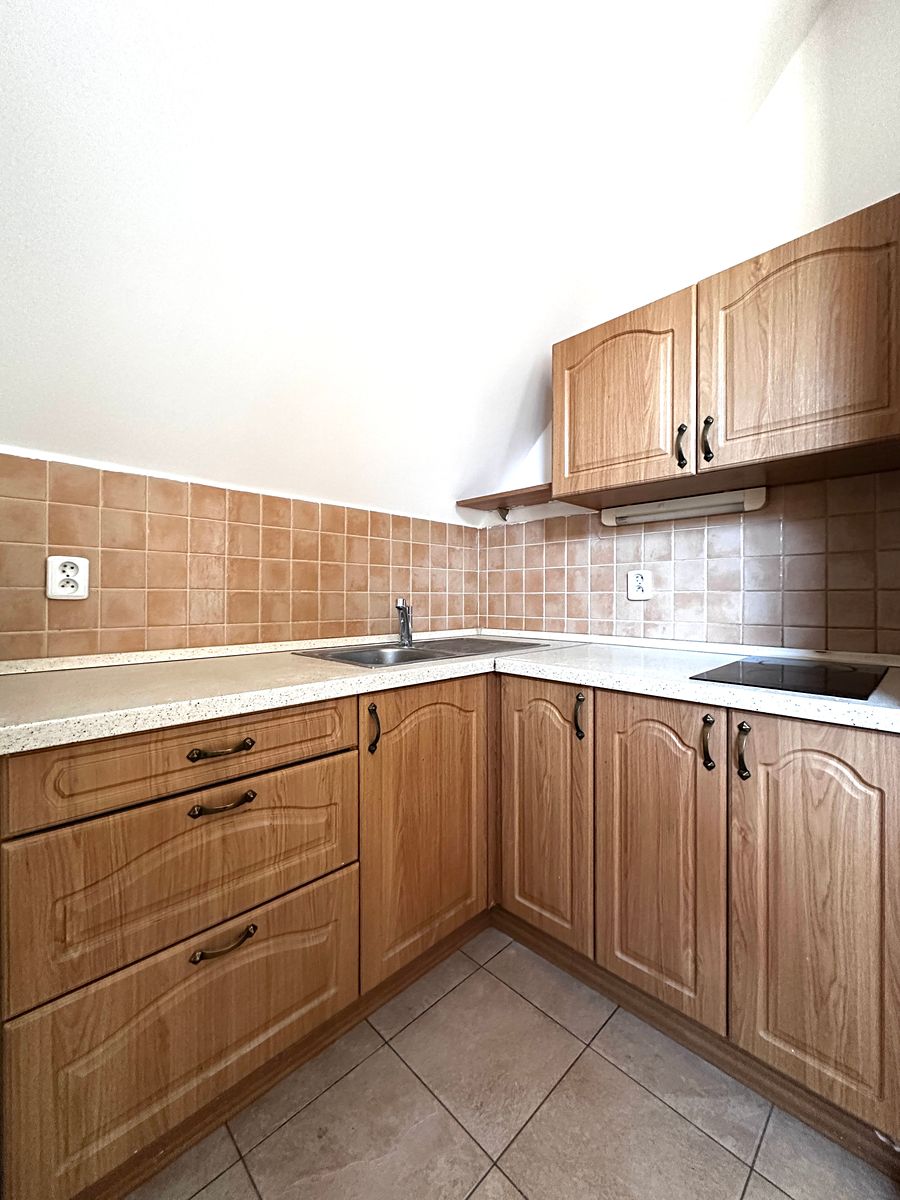 Pronájem bytu 1+kk 30 m² – fotografie 4