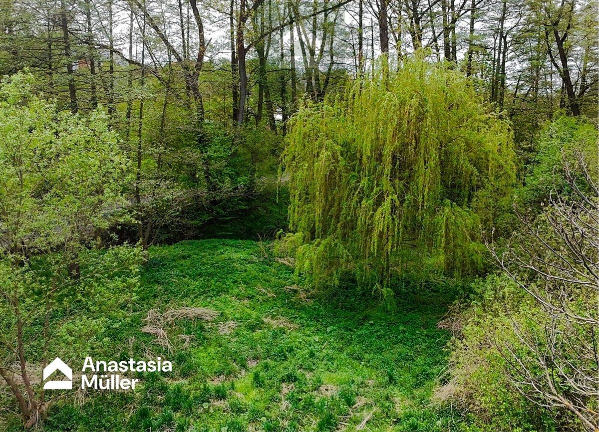 Pronájem pozemku 3877 m² – fotografie 5