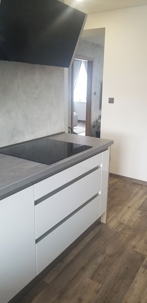 Pronájem bytu 2+1 65 m² – fotografie 2