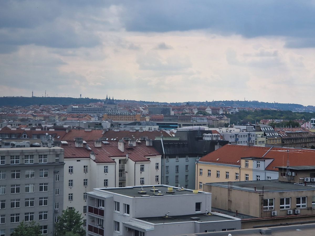 Pronájem kanceláře 313 m² – fotografie 5