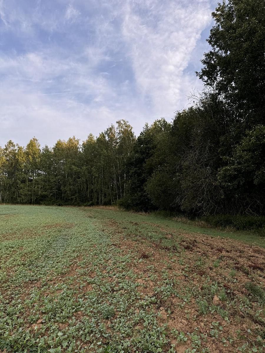 Prodej pozemku 3584 m² – fotografie 4