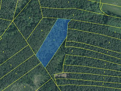 Prodej lesa 13252 m²