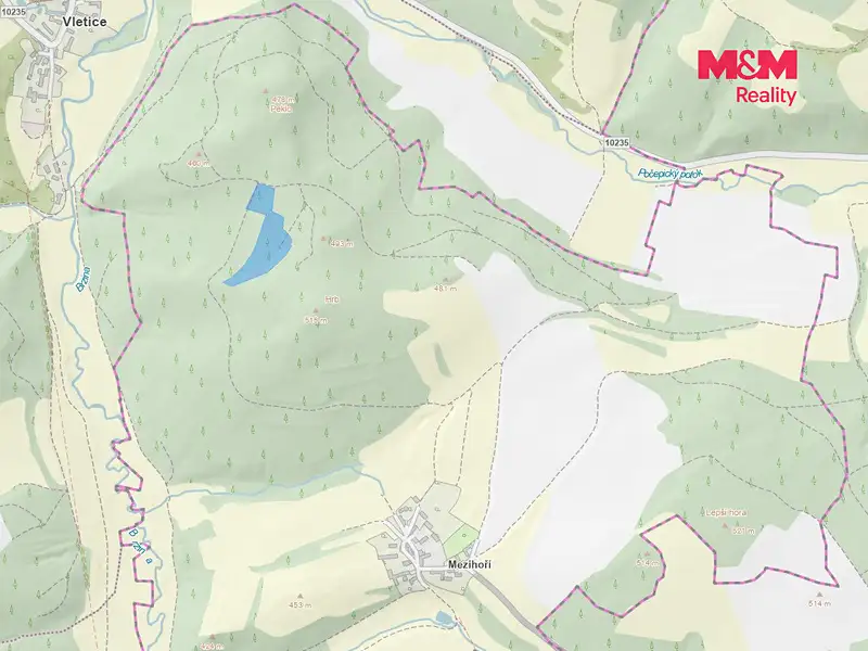 Prodej lesa 16220 m², Petrovice – náhled fotky 3