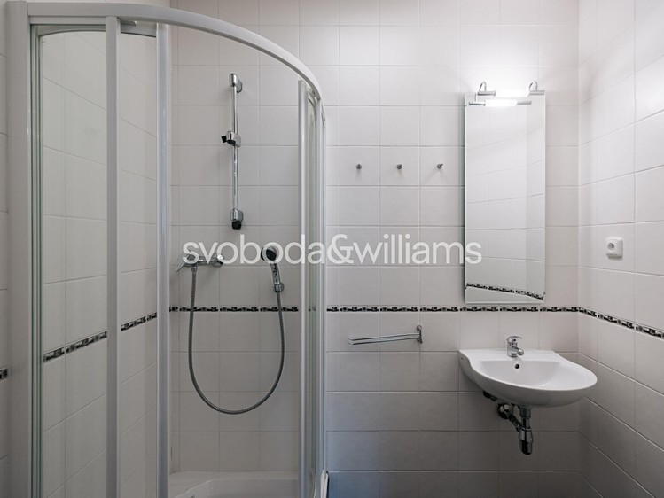 Pronájem komerčního prostoru, 167 m² (12 z 15)