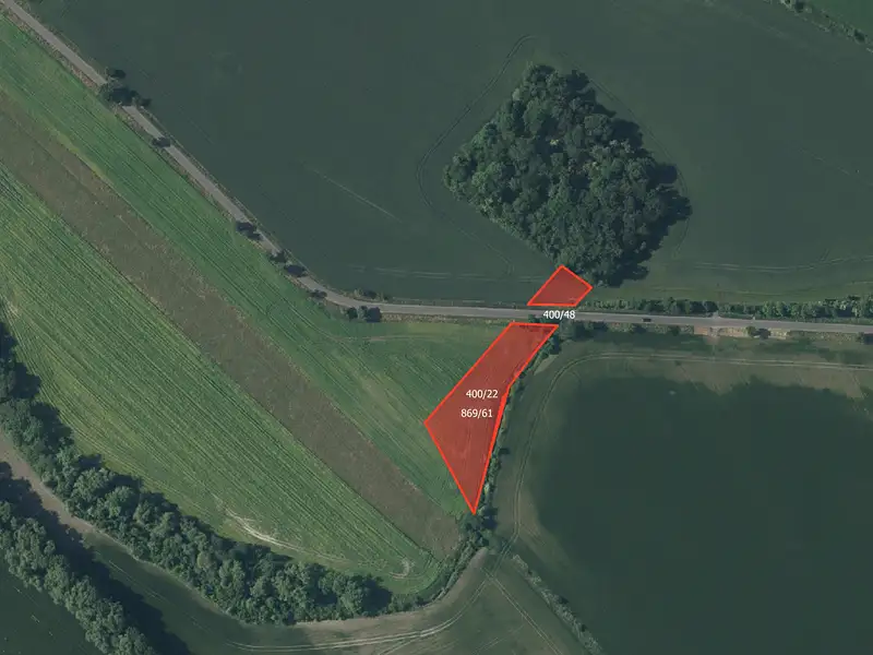 Prodej pole 8172 m², Děčany – náhled fotky 2