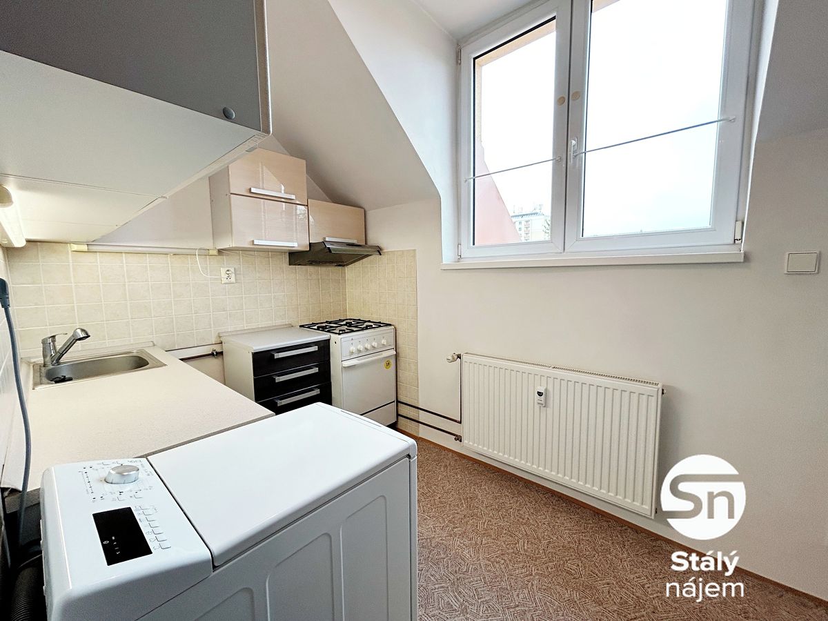 Pronájem bytu 2+1 41 m² – fotografie 3