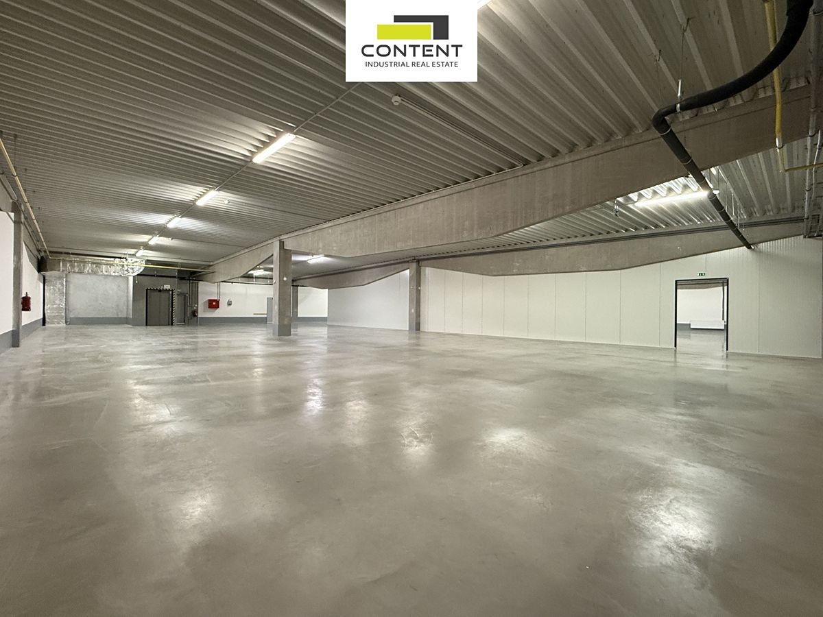 Pronájem skladového prostoru 2455 m² – fotografie 4