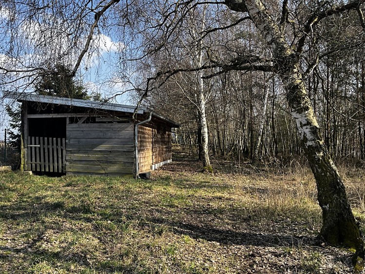 Haus zum Kauf, 100 m² (19 von 21)