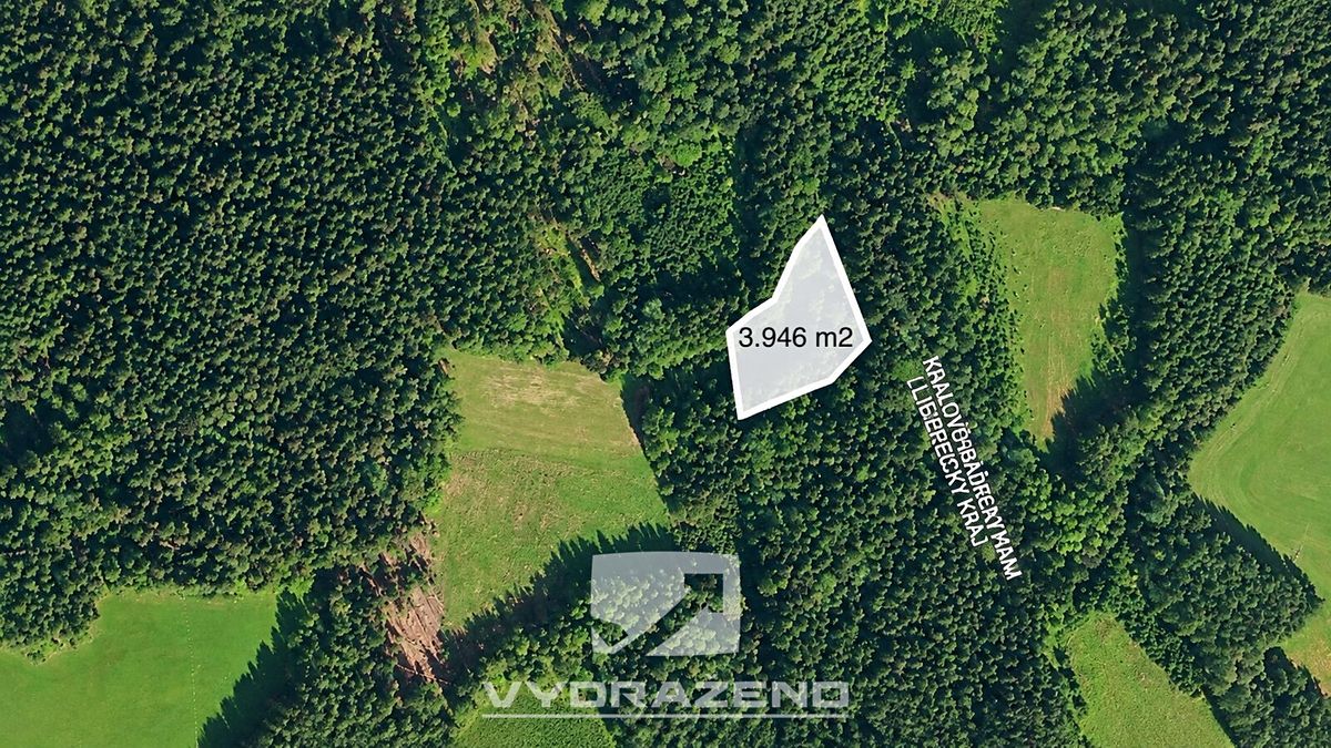 Prodej louky 3946 m² – fotografie 3