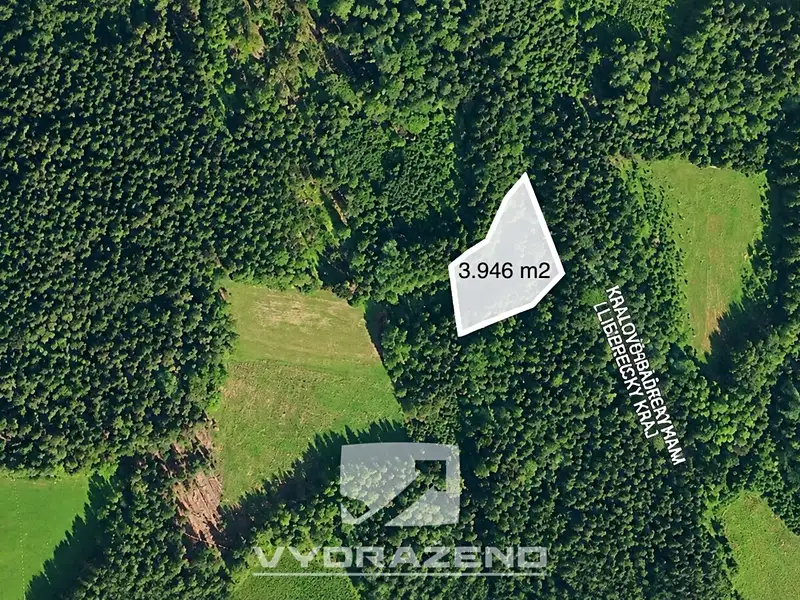 Prodej louky 3946 m², Levínská Olešnice – náhled fotky 3