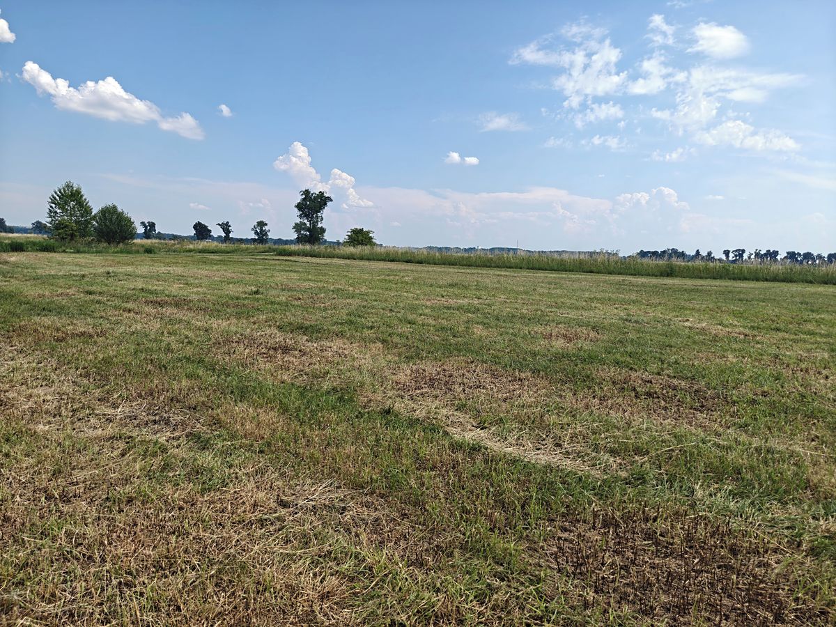Prodej zahrady 800 m² – fotografie 3