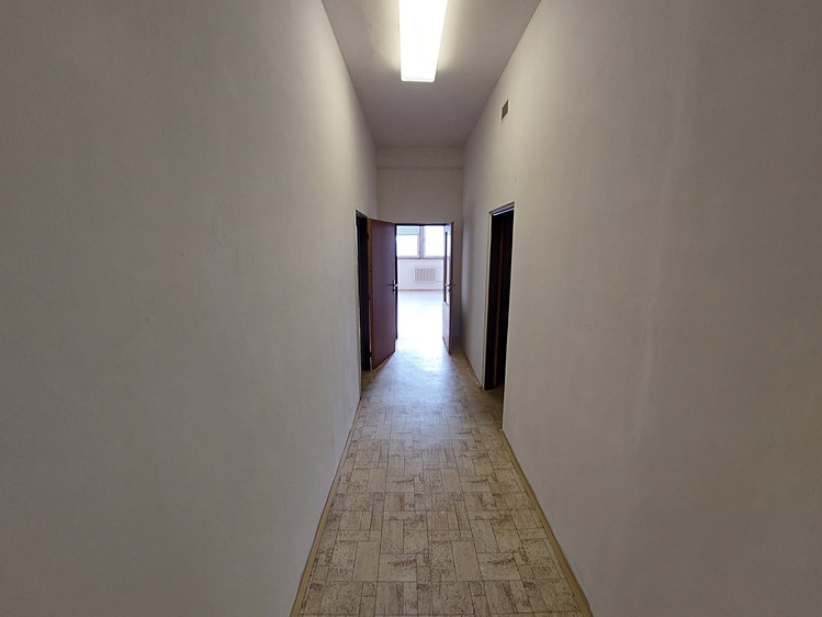 Ostatní
