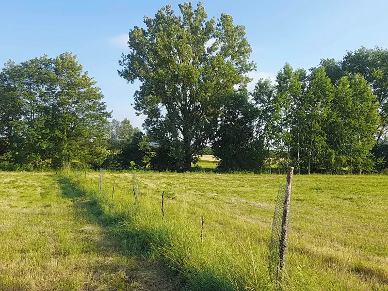 Prodej zahrady 1400 m², Neumětely – náhled fotky 3