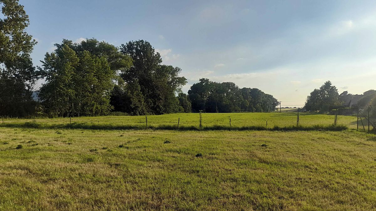 Prodej zahrady 1400 m² – fotografie 2