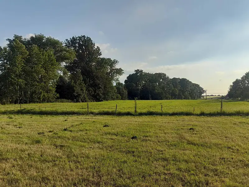 Prodej zahrady 1400 m², Neumětely – náhled fotky 2