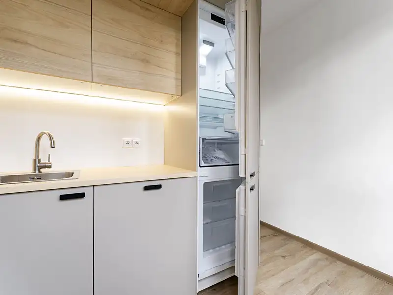 Pronájem bytu 2+1 53 m², Ostrava – náhled fotky 3