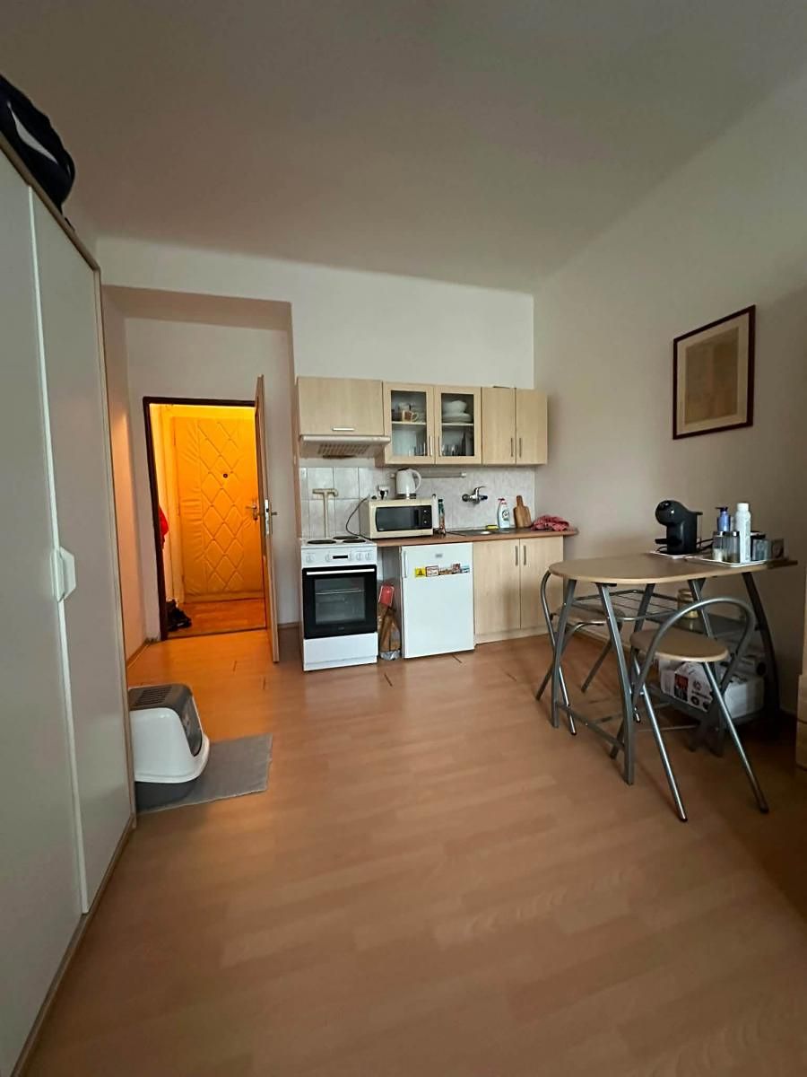 Pronájem bytu 1+kk 20 m² – fotografie 4