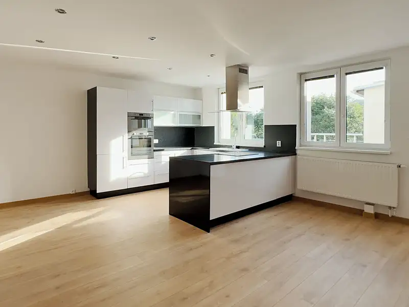 Prodej bytu 2+kk 60 m², Brno – náhled fotky 1