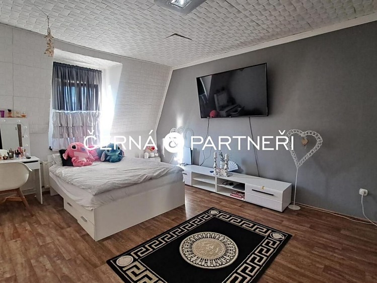 Gewerbefläche zum Kauf, 237 m² (13 von 22)