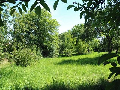 Prodej stavebního pozemku 1635 m²