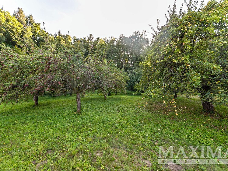 Ділянка на продаж, 3 738 м² (11 з 30)