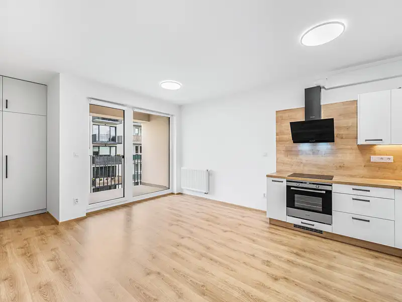 Pronájem bytu 2+kk 56 m², Plzeň – náhled fotky 1