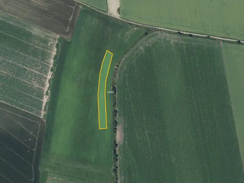 Prodej pole 12333 m², Strašnov – náhled fotky 2