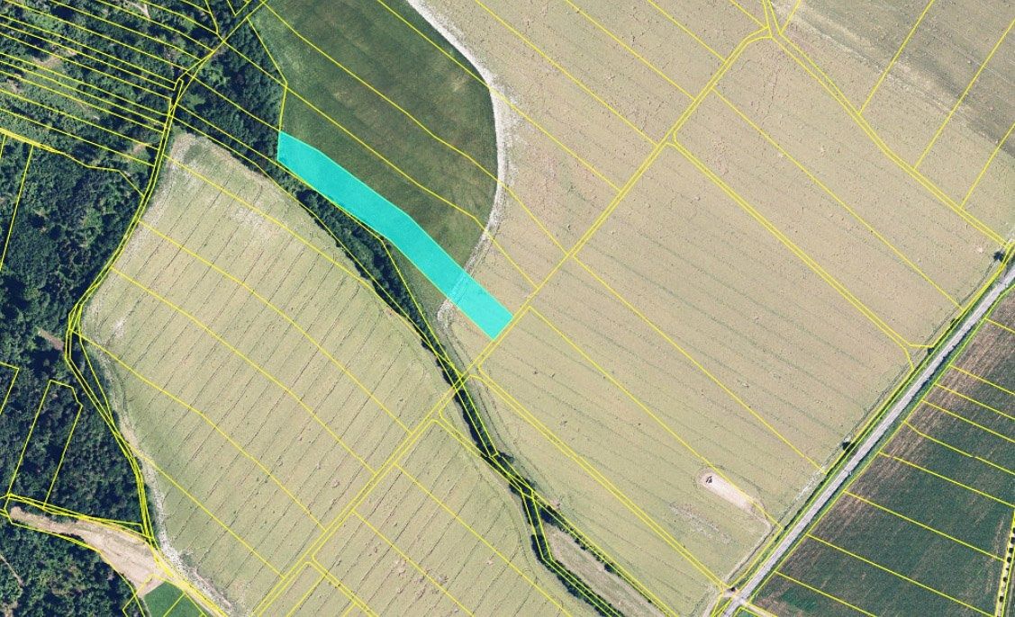 Prodej pole 8704 m² – fotografie 3