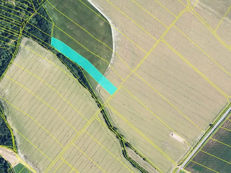 Prodej pole 8704 m², Nová Hradečná – náhled fotky 3