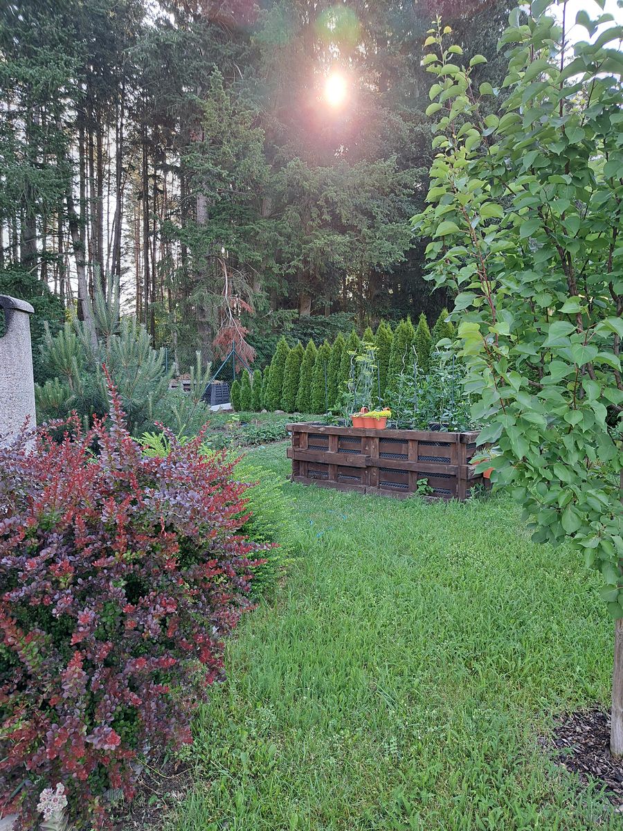 Prodej stavebního pozemku 768 m² – fotografie 3