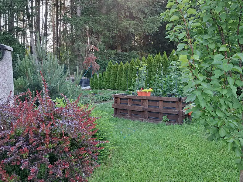 Prodej stavebního pozemku 768 m², Krásná Hora nad Vltavou – náhled fotky 3